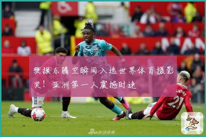 樊振东腾空瞬间入选世界体育摄影奖！亚洲第一人震撼时速