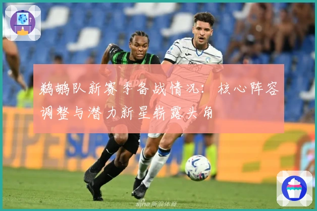 鹈鹕队新赛季备战情况：核心阵容调整与潜力新星崭露头角